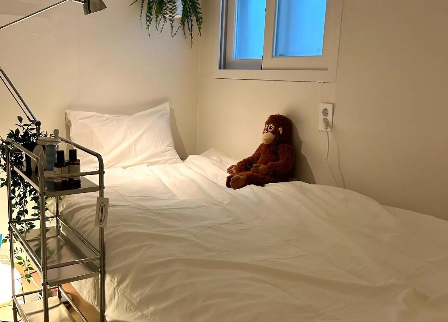 Pocket Seoul Modern Hostel
